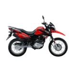 DR 150 FI - Imagen 2